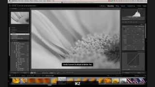 Adobe Lightroom Tutorial: Develop Module Basics