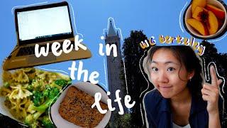 a realistic week in my life as a uc berkeley eecs major | 𝙨𝙪𝙢𝙢𝙚𝙧 𝙚𝙙𝙞𝙩𝙞𝙤𝙣