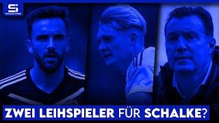 Wilmots will mehr Budget! Transfers durch neuen Hauptsponsor? Wird Remmert verliehen? | S04 NEWS