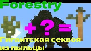 Forestry!!!Гигантская секвоя из пыльцы!!!