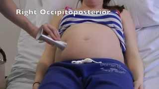 Obstetric Examination- OSCE