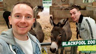 Blackpool Zoo Vlog - October 2021