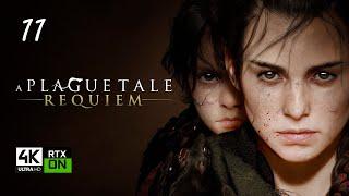 A Plague Tale: Requiem #11- XII:La vida que merecemos - XIII:No queda nada - Español Sin comentarios