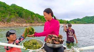 HAPPY FAMILY FOOD TRIP SEA GRAPES AND SPIDER SHELL