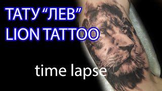 Тату Лев Time Lapse (Making Tattoo Lion)