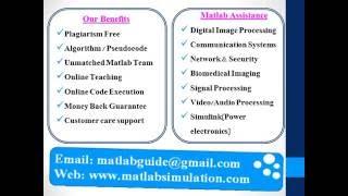 MATLAB Simulation online