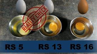 Cheap vs Expensive Eggs | White vs Brown Eggs | Egg Yolk Color