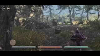 The Elder Scrolls Blades- Secret Location in Lumber Run Quest