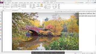 How To: Add and Edit Images Using Foxit PhantomPDF