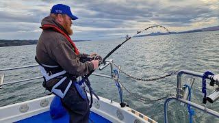 Skate Fishing in the Sound of Jura