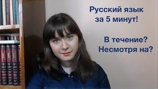 "В течение" или "в течении", "несмотря на" или "не смотря на"? Разбираемся, как писать правильно.