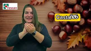 FESCAN Vocabulario de otoño