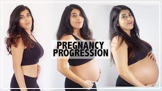 Pregnancy Progression Belly Transformation | 0 to 41 Weeks