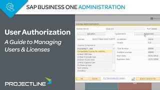 SAP Business One User Authorization | A Guide to Managing Users & Licenses