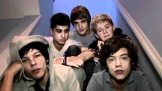 The Best of Louis Tomlinson (Video Diaries)