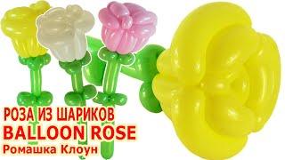 РОЗА ИЗ ДЛИННЫХ ШАРИКОВ ШДМ как сделать Balloon Rose Flower TUTORIAL