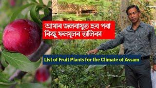 আমাৰ জলবায়ুত হব পৰা কিছু ফলমূলৰ তালিকা | List of Fruit Plants for the Climate of Assam