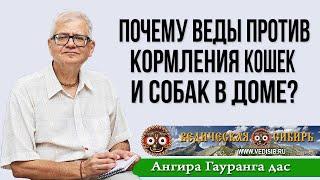 Почему Веды против кормления кошек и собак в доме?