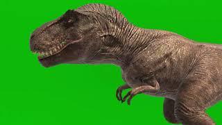 T-Rex Roar - Dinosaurs Green Screen [50+ Short For Effect Video]