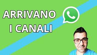 Arrivano i CANALI su WhatsApp - podcast - NotizieTECH