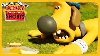 Bitzer Over Easy - Shaun the Sheep [Full Episode]