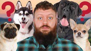 DOG TRAINER REVEALS LEAST FAVOURITE DOG BREED TO TRAIN