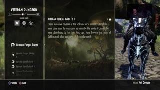 ESO cheater - all 3 roles in group finder