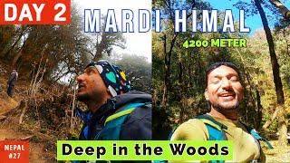 Mardi Himal Trek | DAY 2 - Deep in the Woods | To the Low Camp Mardi Himal | View Point & Base Camp