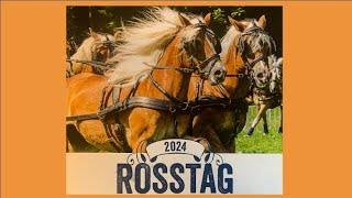 Rosstag in Rottach-Egern am 24.08.2024