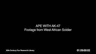 Ape with AK-47