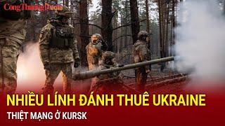 Nhiều lính đánh thuê Ukraine bị thiệt mạng ở Kursk  | Báo Công Thương