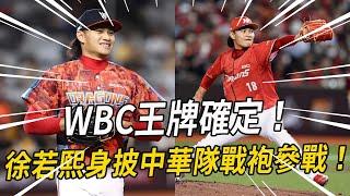 WBC資格賽王牌就是他了！ 徐若熙披上中華隊戰袍，他究竟是怎樣越傷越強！