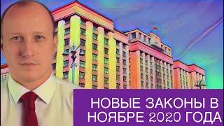 НОВЫЕ ЗАКОНЫ В НОЯБРЕ 2020 ГОДА