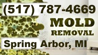 Mold Removal Spring Arboer MI (517) 787-4669 | Mold Remediation Spring Arbor Michigan