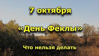 7 октября День Фёклы. Что нельзя делать.