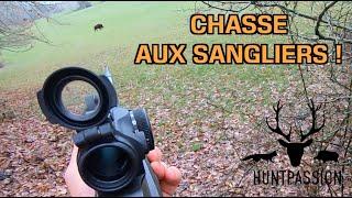 Chasse aux sangliers - Une belle battue !