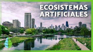 Los ECOSISTEMAS ARTIFICIALES  (Características, TIPOS de Ecosistemas Artificiales y Ejemplos)