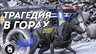 СОБАЧЬЯ РАБОТА — GTA 5 ROLEPLAY | YDDY:RP #255 (K-9 SHERIFF)