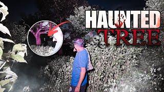 Old Haunted Tree  | Real Story | Real Horror Story | Visited Haunted Place In Night | Short Movie