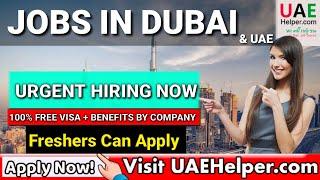 Latest jobs in dubai UAE for fresher 2024