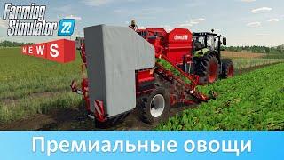 Новости FS 22 - Почем овощи? Доходность моркови, пастернака и свеклы в Premium Expansion