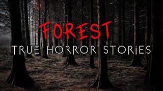 3 Unnerving Forest Hiking & Camping Horror Stories