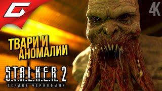 УЧЁНЫЕ и ЗОМБИ  STALKER 2: Heart of Chornobyl ◉ Прохождение 3