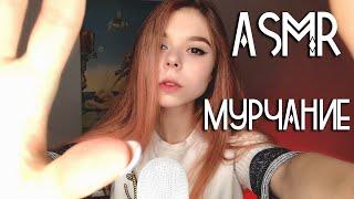 АСМР мурчание  и визуальные триггеры для сна | ASMR kitten purr and visual triggers