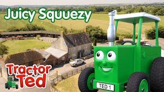 Juicy Squeezy 🫐 BRAND NEW To You Tube Kids | Tractor Ted Full Episode