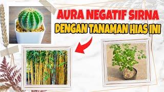 Wow Bikin Merinding ! 11 Tanaman Hias Pengusir Jin dan Setan