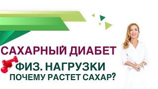  Сахарный диабет Почему растет сахар крови при нагрузках? Врач Эндокринолог Диетолог Ольга Павлова