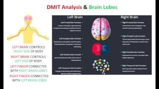 What is DMIT Test, DISCOVER BRAIN DERMATOGLYPHICS MULTIPLE INTELLIGENCE TEST (DMIT)