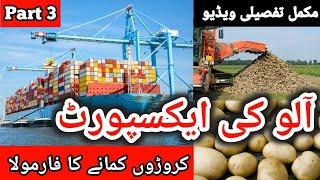 Allu ki Export Kaise Kare | Import Export Business | Potato Export to Dubai | Anees Voice