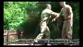 Russian Martial Art Systema SV  Training Program Vol 1   Dmitriy Skogorev